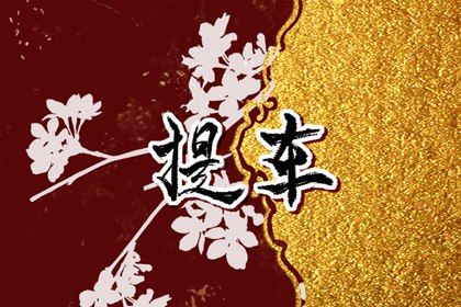 2025年09月09日提车合不合适？ 买新车能行吗