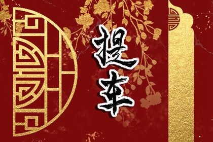 2025年09月11日是否宜提车？ 今日提新车合适吗？