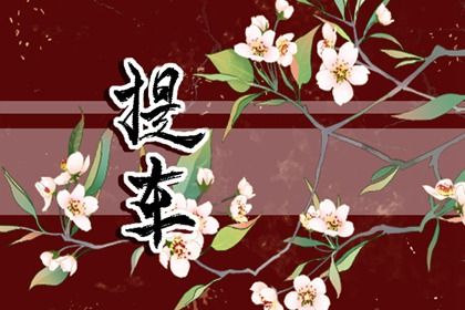 2025年农历八月十八提车是好日子吗？ 提车行吗？