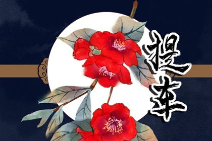 2025年08月21日提车合良辰吉时吗？ 买新车适合吗？