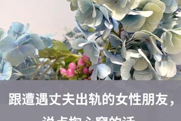 甲子婚姻中的信任危机，如何重新建立？