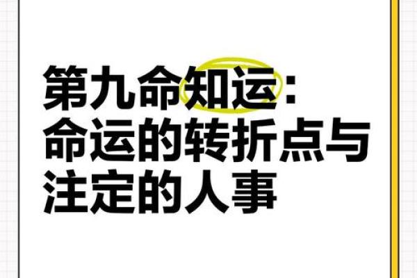 命运的奥秘：什么是命，什么是运