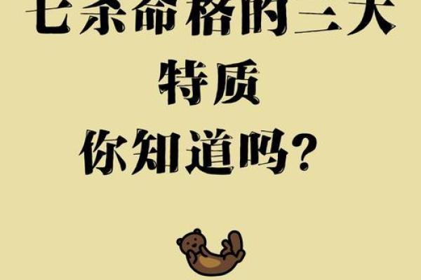 命七是什么？探索命理学中的七个关键因素