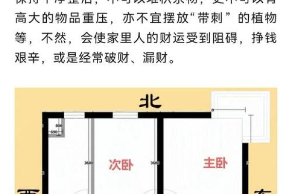 风水招财的关键要素：让家居布局带来财运的秘诀