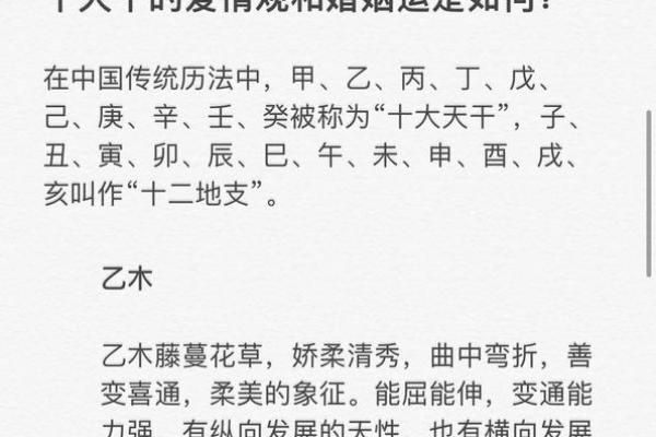 木命适合的年龄段分析与特点解析