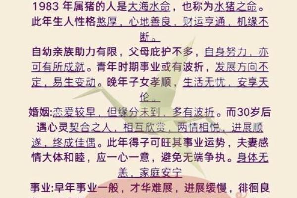 命字代表什么生肖的深层含义解析