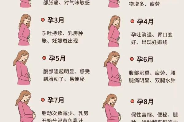 农历七月怀孕最佳时机揭秘