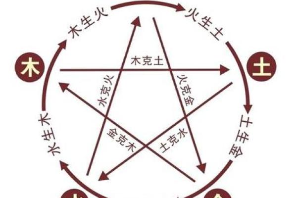 木虎水命之谜：背后的五行关系