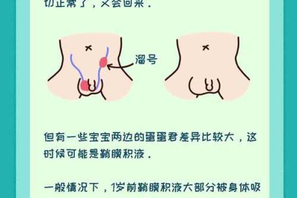 为什么农历的鸡宝宝如此与众不同？