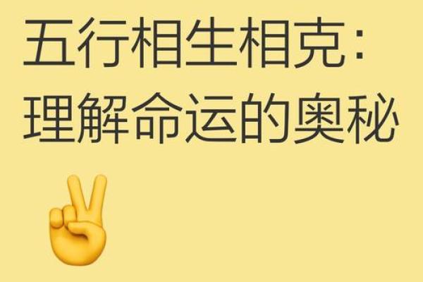 命运与五行深度解析