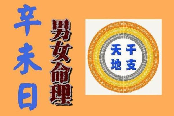 命主显贵的深层含义与命运解读