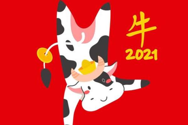 摸骨测命的奥秘与实际应用探析