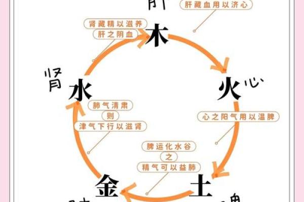 命缺水与五行理论的关系