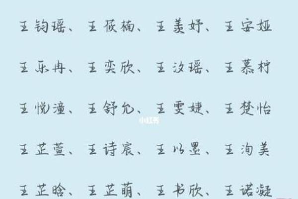 为王姓女孩挑选一个有意义的名字
