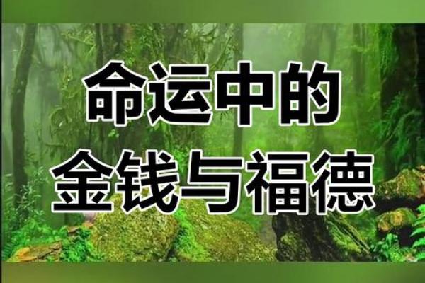 命里注定的财富是什么