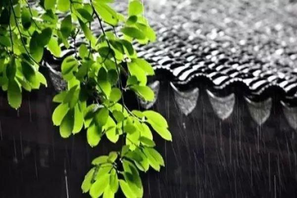 农历雨季即将到来，做好这些准备不再怕湿