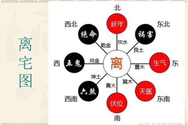 命通是什么意思及其在生活中的应用解析