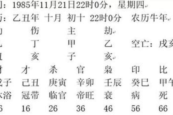 命通是什么意思及其在生活中的应用解析