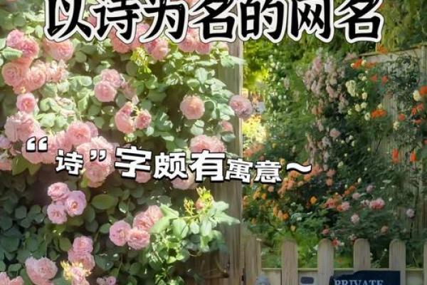 韵味名字的艺术：为你的孩子取个有意义的名字