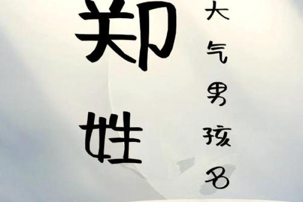 为郑姓男孩起名的窍门：融合传统与现代的完美选择