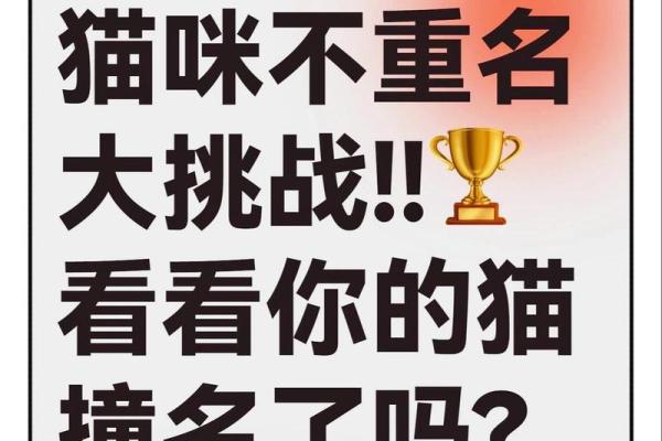 如何为你的喵咪取一个独特又有意义的名字