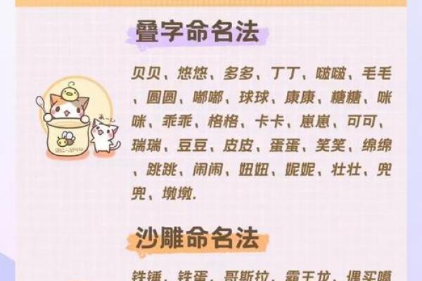 如何为你的喵咪取一个独特又有意义的名字