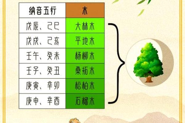 袖字五行解析：了解袖字在五行中的独特意义