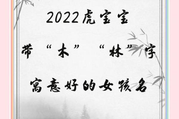 如何为林女孩挑选寓意美好的名字