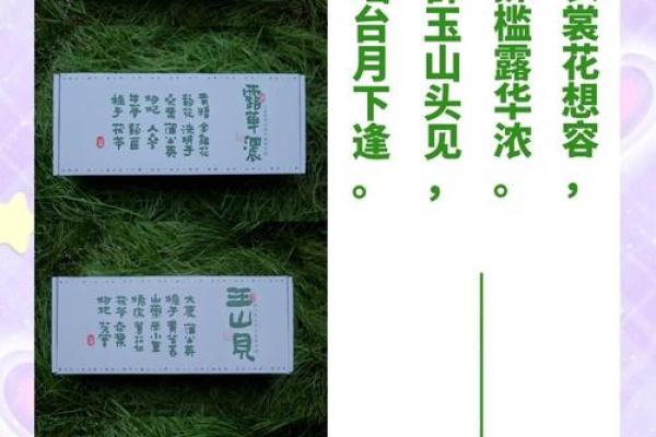 诗意命名：古诗中的灵感与企业品牌的完美结合