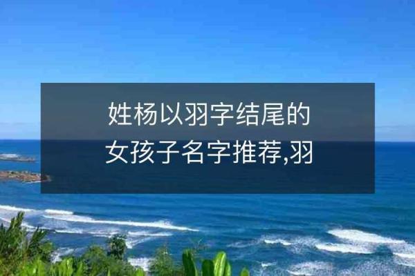 羽字名字在现代与传统中的完美融合