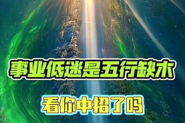 五行中高粱的能量与健康关系揭秘