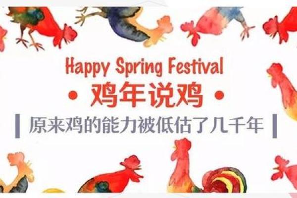 农历的鸡：你不知道的养殖技巧