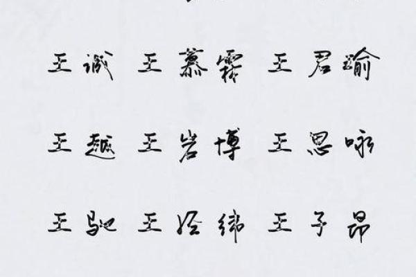 王字男孩名字的独特寓意与选取技巧