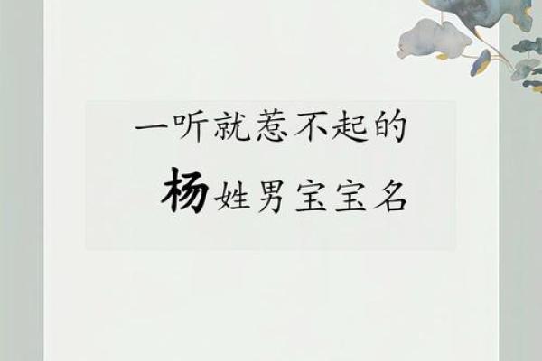 杨姓男孩名字推荐，带有智慧与力量的寓意