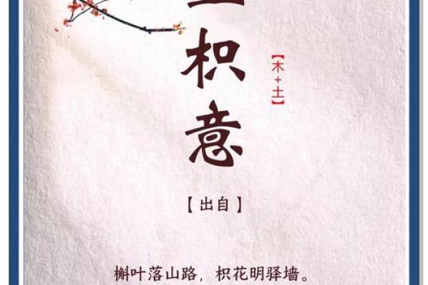 适合王姓女孩的优雅名字推荐