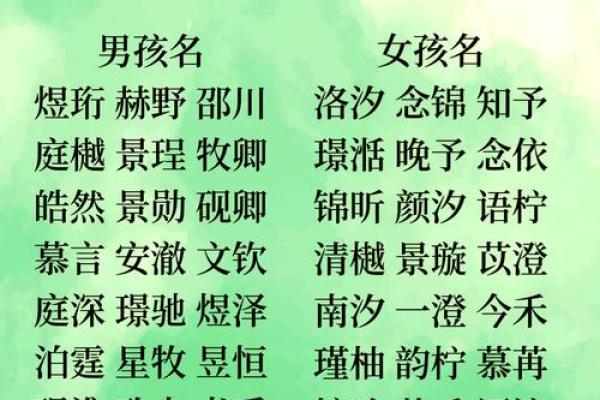 与自然同行：赋予孩子一个充满自然气息的名字