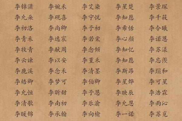 为李姓男孩起名的创意与传统结合