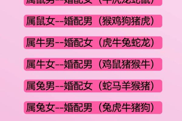 牛与狗的婚姻契合度分析