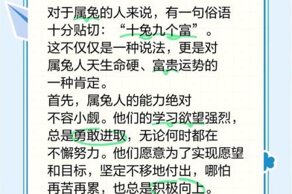 属兔人的运势走向：财富、健康与感情运势的关键变化