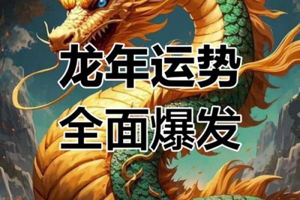 属龙人本命年风水改运的关键因素