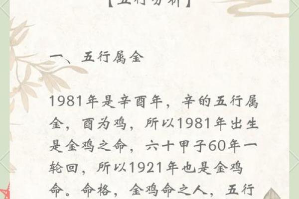金钱豹五行解析：如何通过五行提升运势