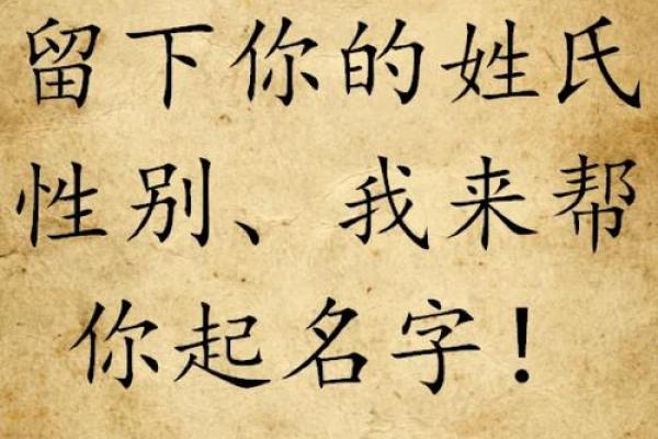 双胞胎女孩名字推荐，让姐妹情深更显特别