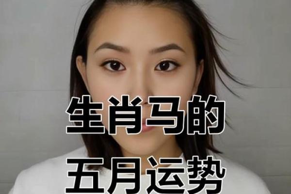 马人今日运程预测，事业与感情运势走向