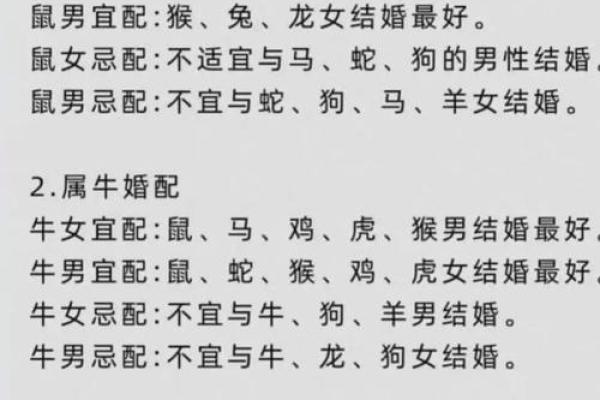 属兔男与属猪女的感情兼容性探讨