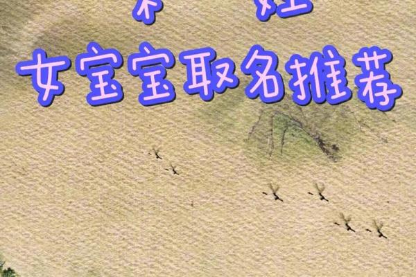 从文化到音韵，取名字时的多维考量