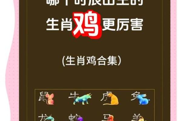 如何为鸡宝宝选择一个寓意深远的名字