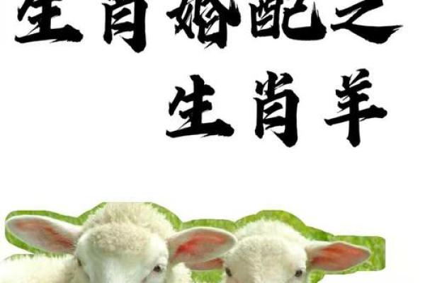 属鼠男和属羊女的婚姻运势如何
