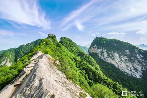 终南山五行香价格揭秘 你值得拥有的香品选择