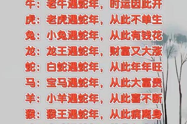 属鼠与属牛的缘分如何 适合在一起吗