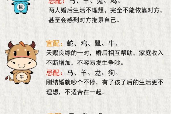 想要改变运势？生辰八字论坛为你提供最实用的建议